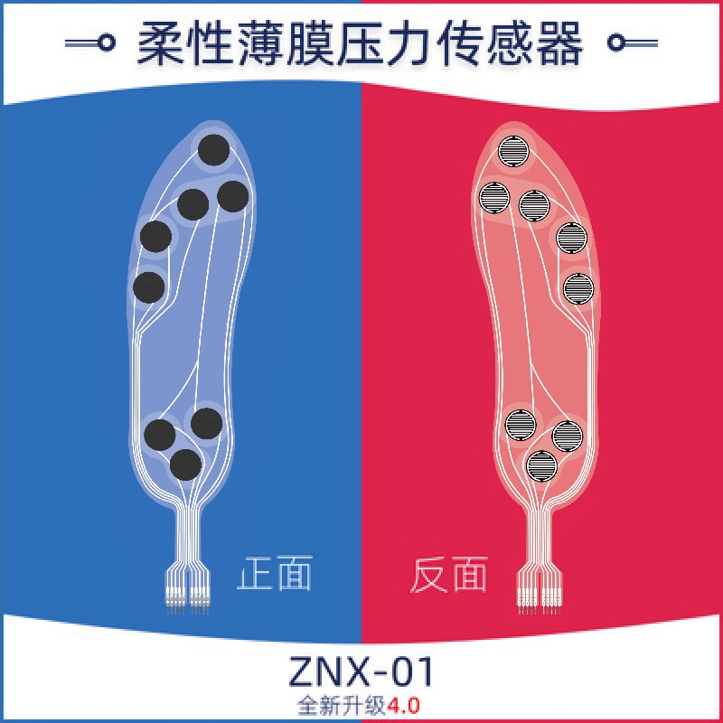 Hochpräziser Flexibler Dünnfil – Smart Insole Pressure Bewertung und Preis